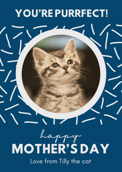 Purrfect cat Happy Mother's Day